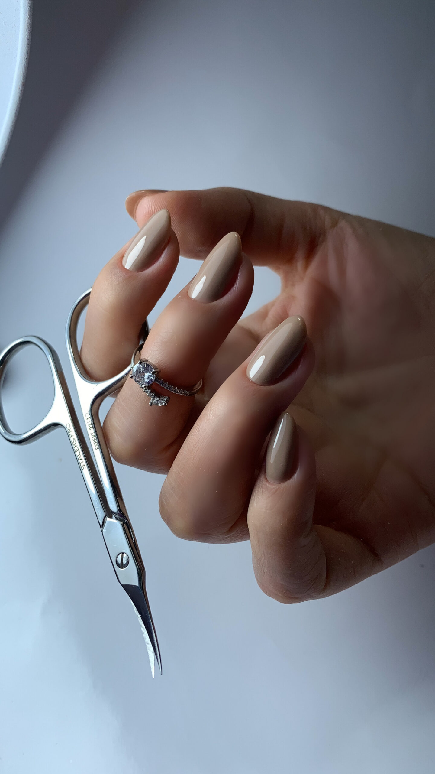 F024E2B3-95ED-48D9-9EAA-173428D80CB4 (1)